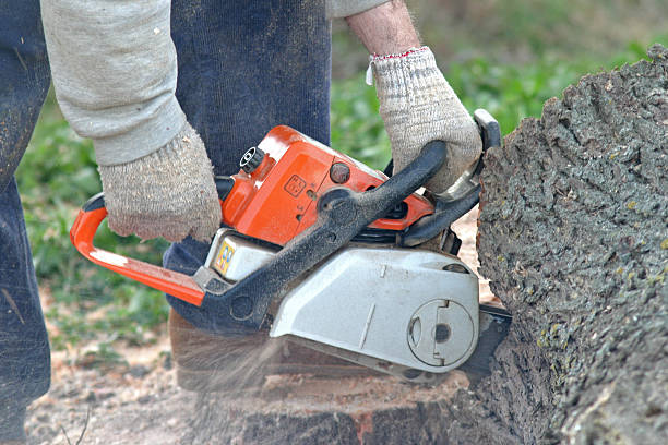 Mulching Services in Waimanalo Beach, HI